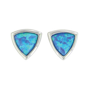 Montana Silversmiths River Lights Trillion Depths Post Earrings