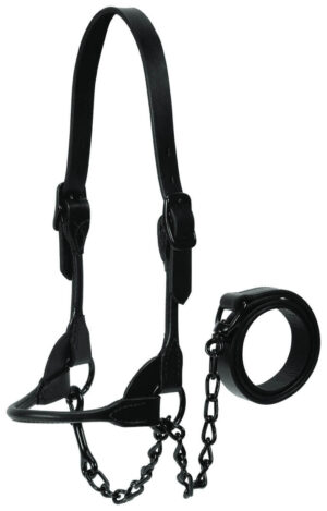 Weaver Black Magic Cow Show Halter