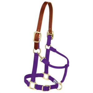 Weaver Leather Breakaway Halter Purple