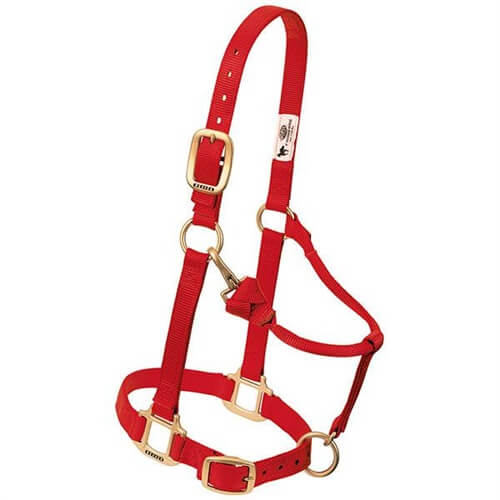 Weaver Leather Nylon Halter With Buffalo Leather Crown - Breakaway Design For Horses