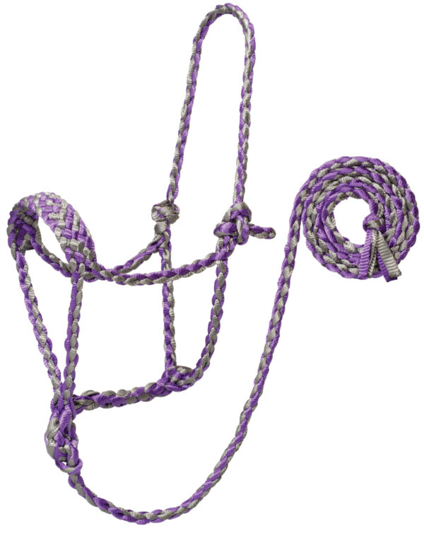 Braided Rope Halter in Grey & Purple