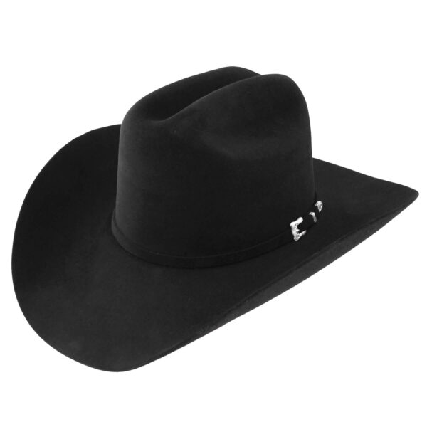 Resistol Black Gold 20X Cowboy Hat