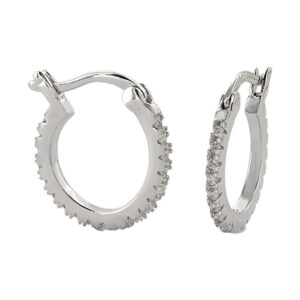 Classic Small Hoop Earrings