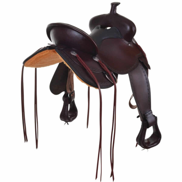 Circle Y Alpine Flex 2 Saddle Back Angled