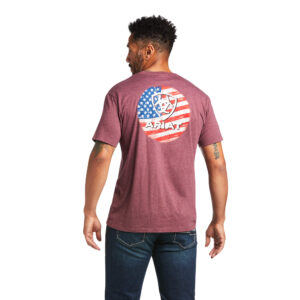 Ariat Circle USA Flag T-Shirt Back