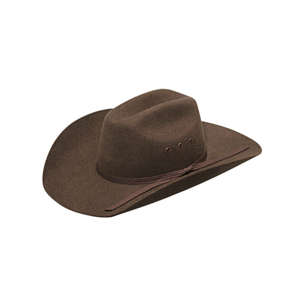 Twister Youth Wool Felt Hat in Brown