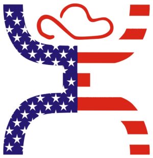 Hooey Hands Up American Red/White/Blue Sticker