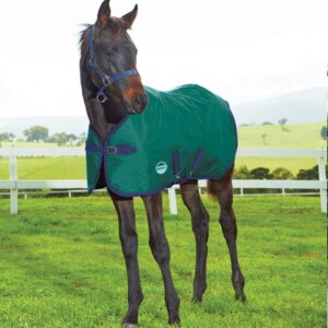 Weatherbeeta Foal Blanket - 1200D Med Standard Neck - Hunter/Navy