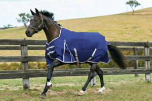 Weatherbeeta Essential Heavy Turnout Blanket - Standard Neck