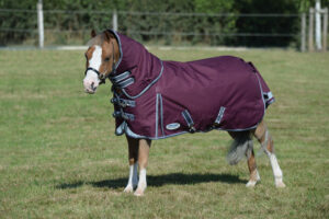 Weatherbeeta Dynamic II Detach-A-Neck Turnout Blanket in Maroon