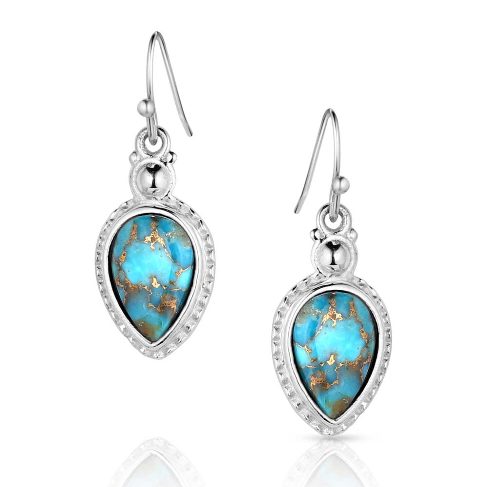 Expression of the West Turquoise Earrings front view