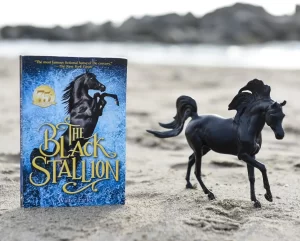 Breyer Black Stallion Book Set