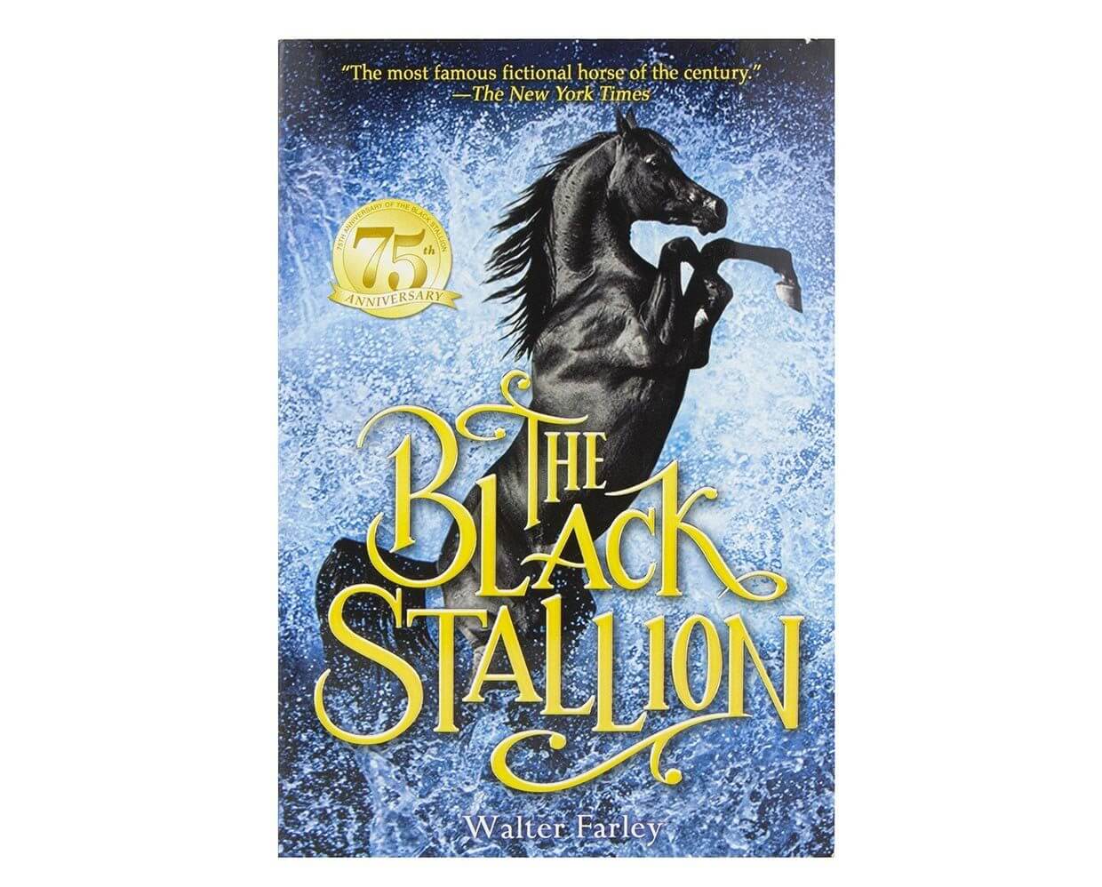 Black Stallion Book