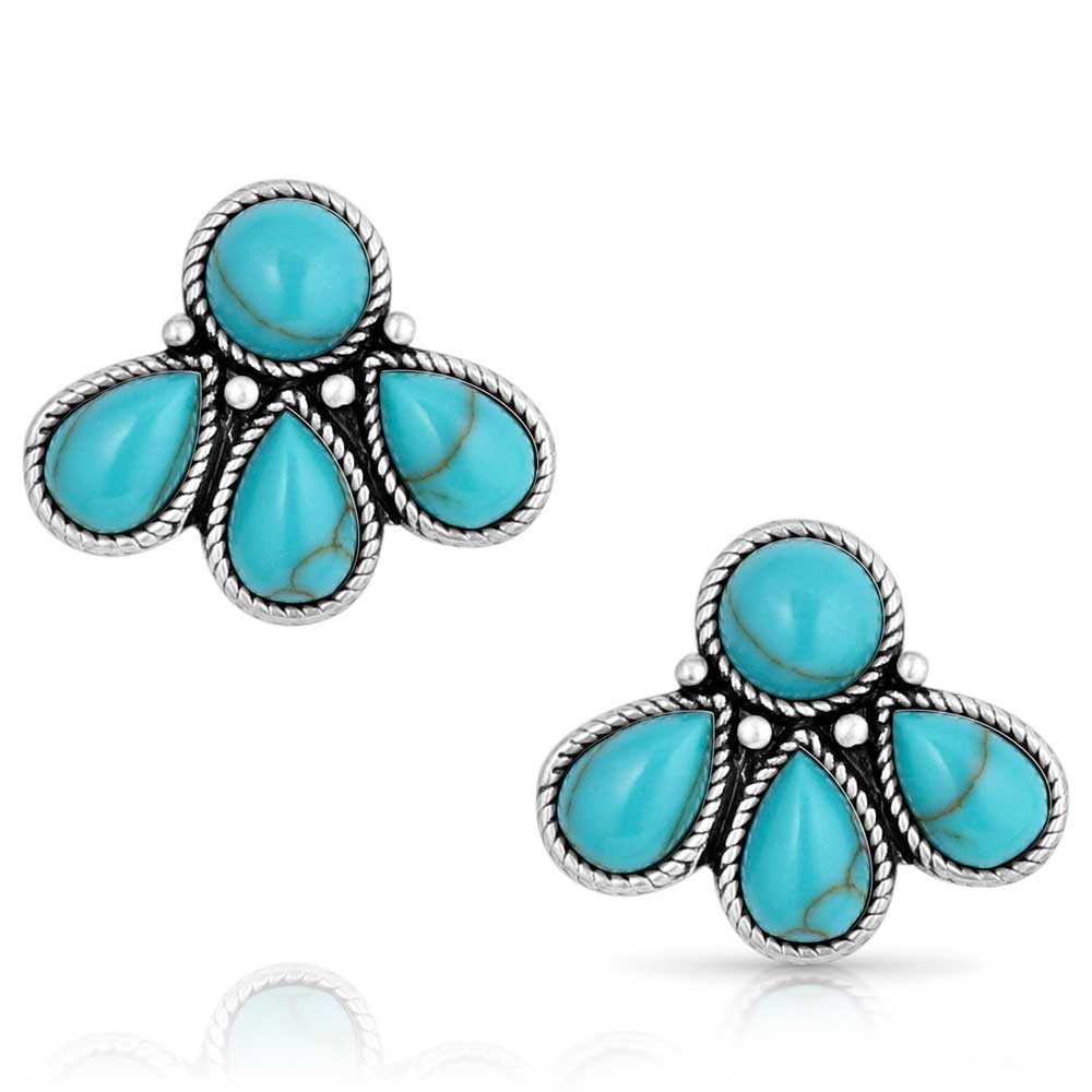 Nature's Wonder Turquoise Earrings front view