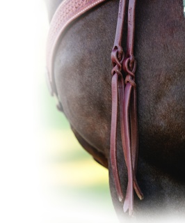 Popper Tail next to a horse of the Popper Tail Heavy Oiled Split Reins