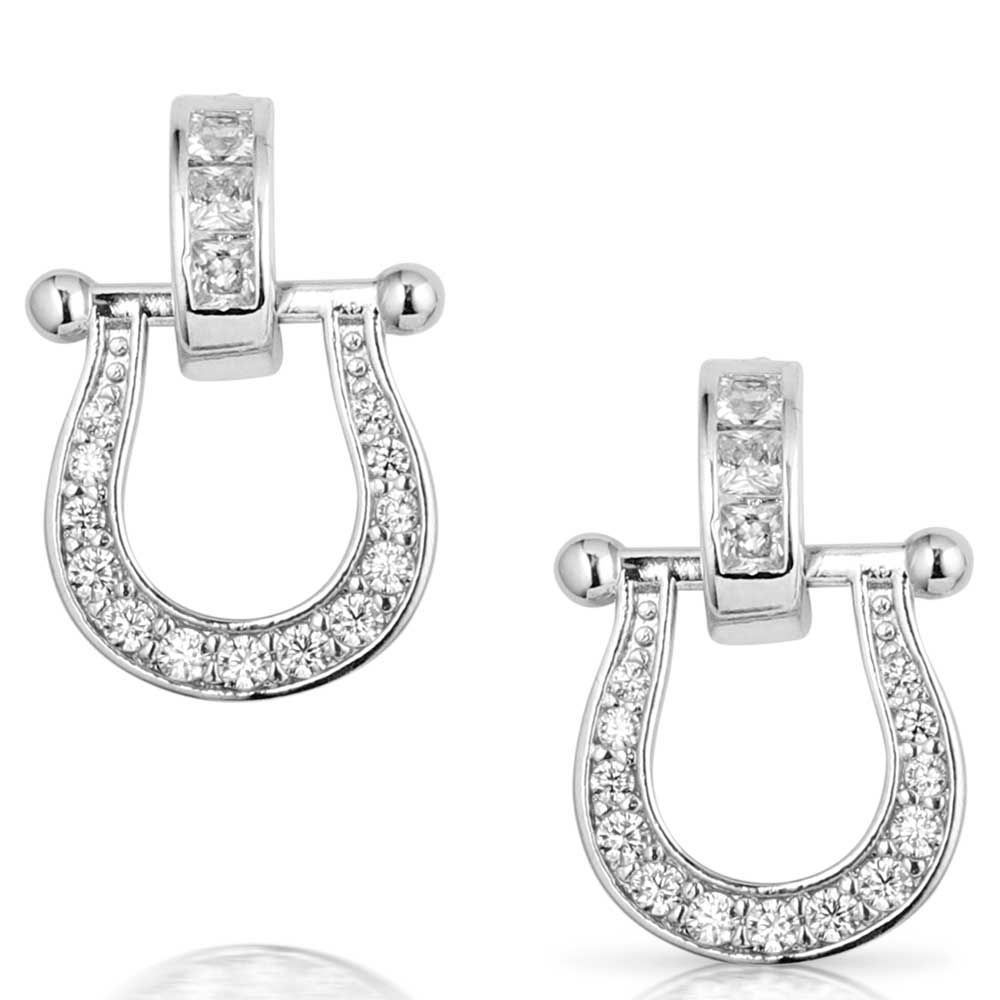 Ride in Style Crystal Earrings front view