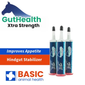 Equine GutHealth Xtra Strength Gel 30ml Syringe