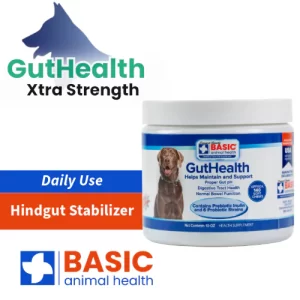 Canine GutHealth Xtra Strength Treats - 10oz.