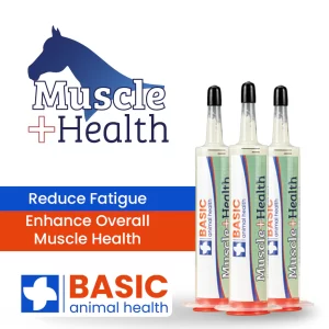 Equine MuscleHealth Gel 30ml Syringe