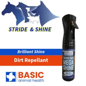 Show Day Mega Shine 10.1oz Aerosol