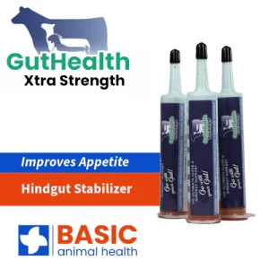 Livestock GutHealth Xtra Strength Gel 30ml Syringe