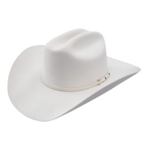 Stetson Vera Cruz White 6X Fur Felt