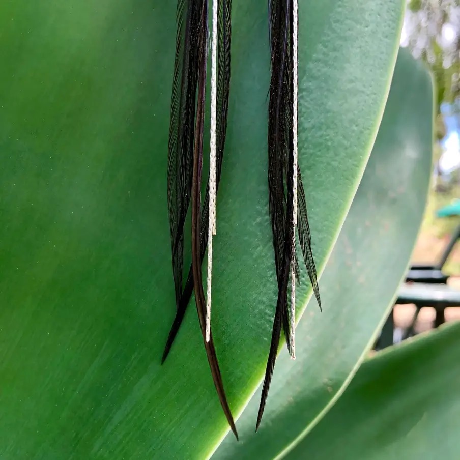 hyperspace_image_springboard_id_20246