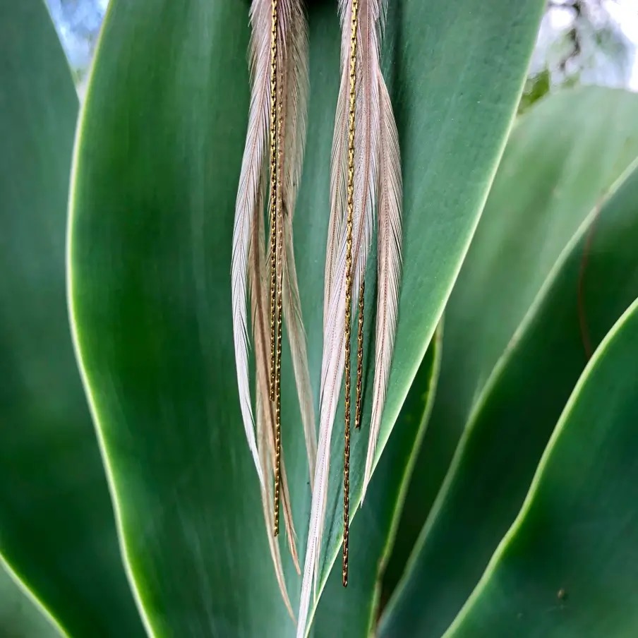 hyperspace_image_springboard_id_20271