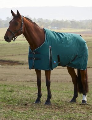 WeatherBeeta ComFiTec Classic Turnout Lite 0G