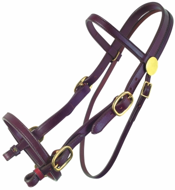 Tucker Plantation Bridle