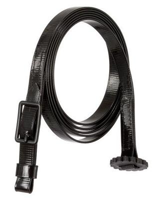 Silver Royal Arabian Show Lead