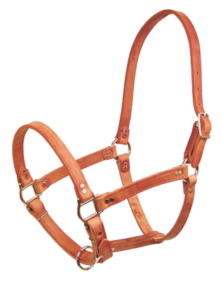 Schutz Brothers Leather Pasture Halter