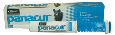 Panacure Horse Dewormer Paste